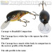 Adam's Custom Lures Carnage Crankbait